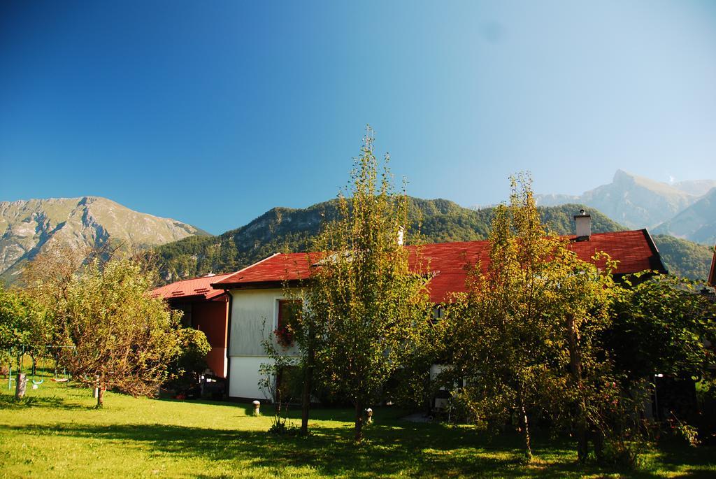 Budget Homestay كوباريد المظهر الخارجي الصورة