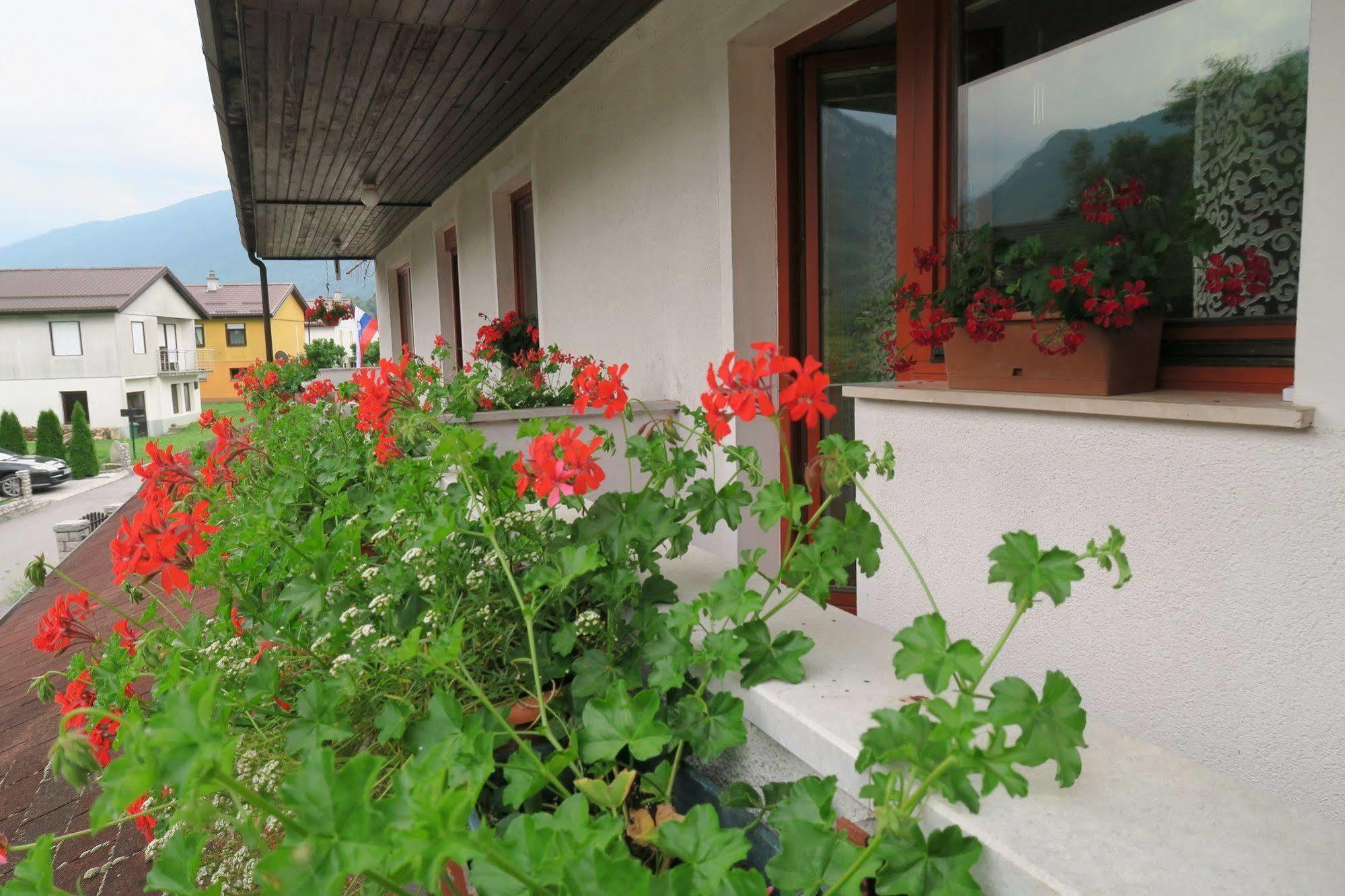Budget Homestay كوباريد المظهر الخارجي الصورة